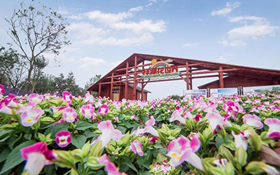 6165cc金沙总站(China)检测有限公司-BinG百科