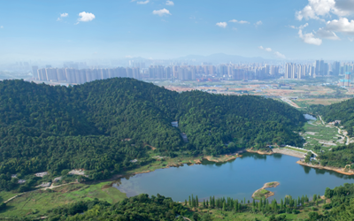 6165cc金沙总站(China)检测有限公司-BinG百科