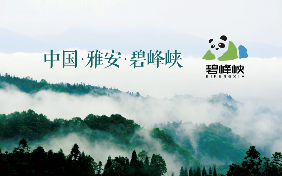 6165cc金沙总站(China)检测有限公司-BinG百科