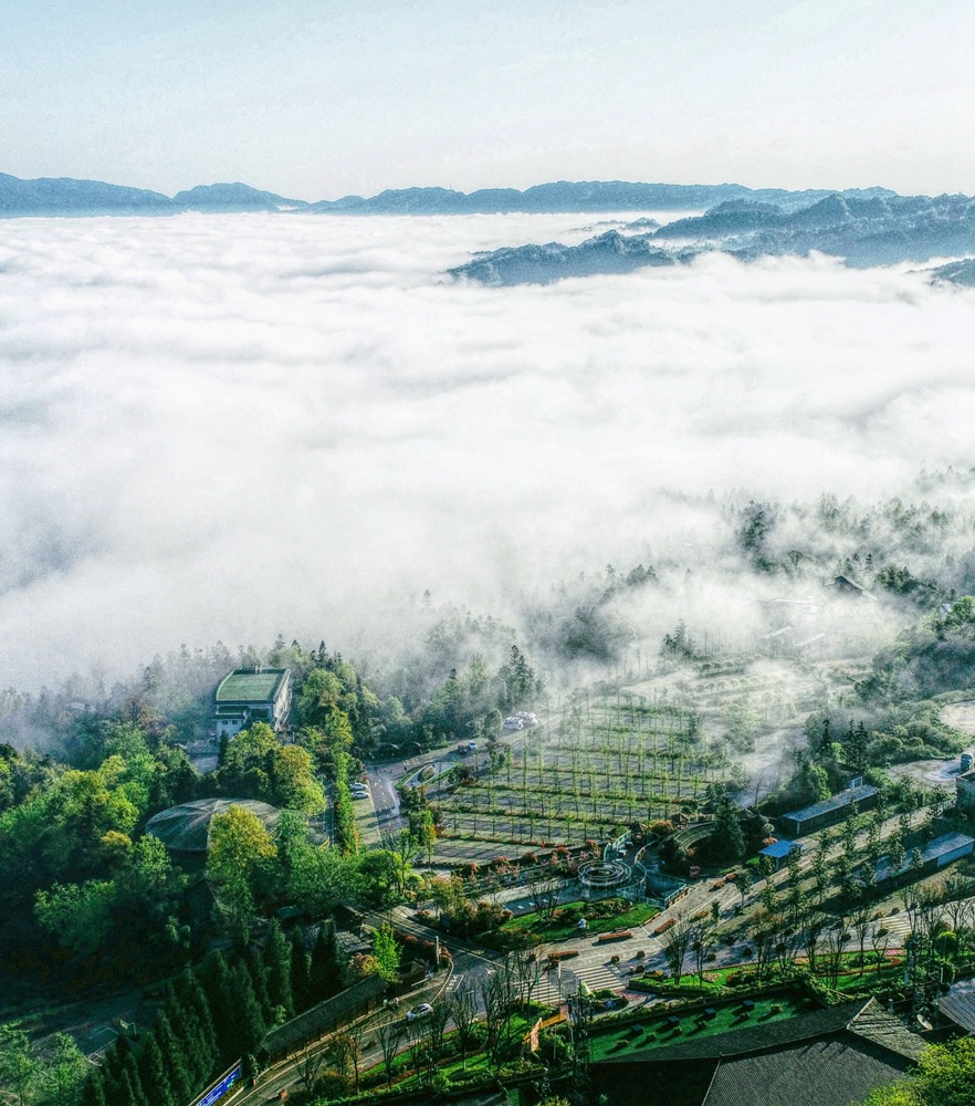 6165cc金沙总站(China)检测有限公司-BinG百科