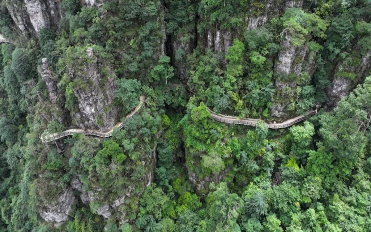 6165cc金沙总站(China)检测有限公司-BinG百科